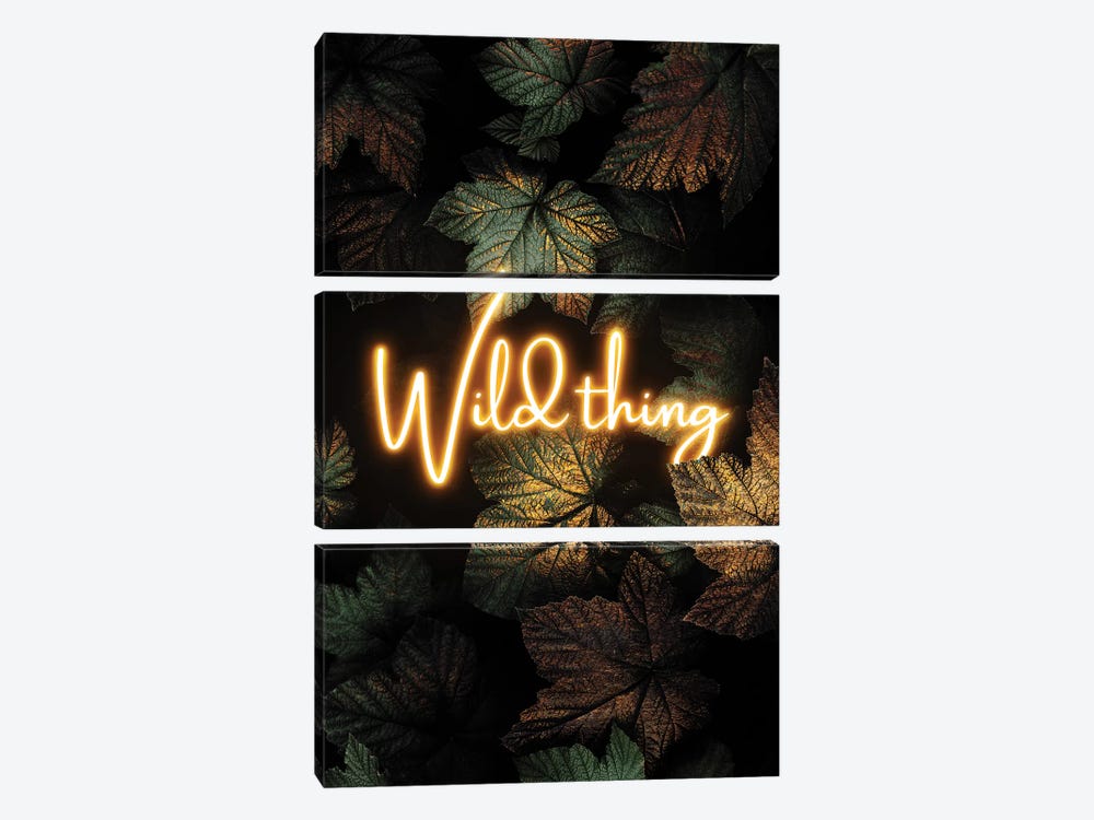 Wild Thing by Elisabeth Fredriksson 3-piece Canvas Artwork