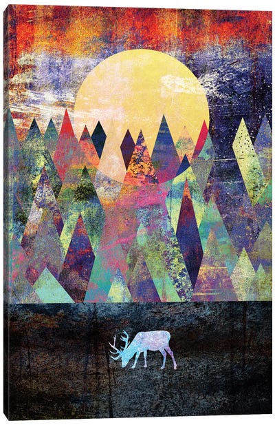 Lappland Canvas Art Print - Jewel Tones