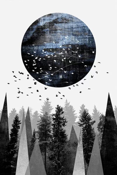 Pine Trees: Nature by Elisabeth Fredriksson