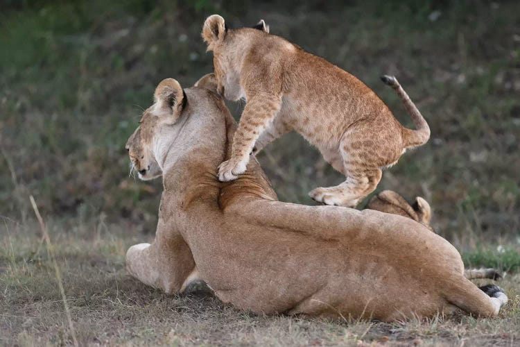 Playing With Mom