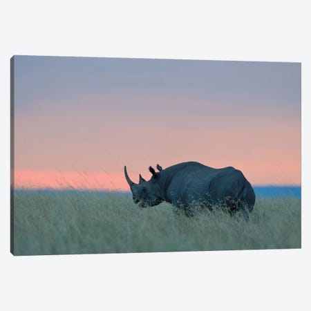 Rhino Sunset Canvas Print #ELM119} by Elmar Weiss Canvas Artwork