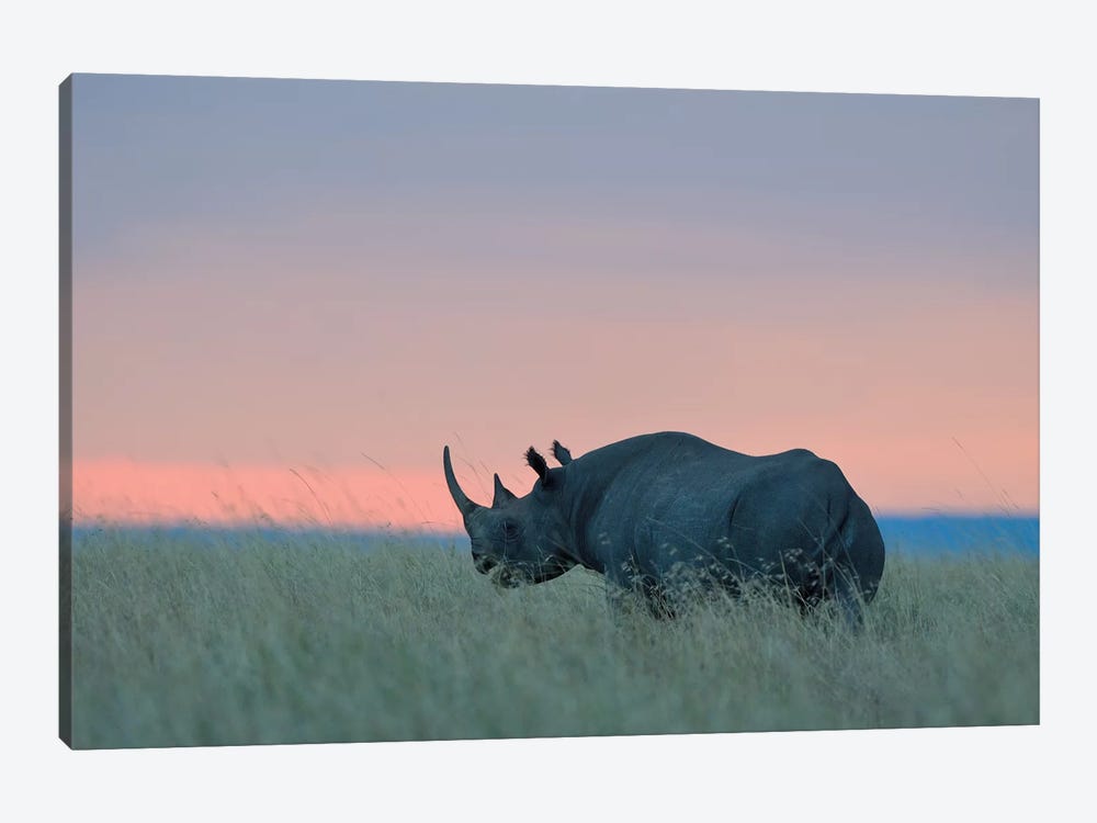 Rhino Sunset by Elmar Weiss 1-piece Art Print