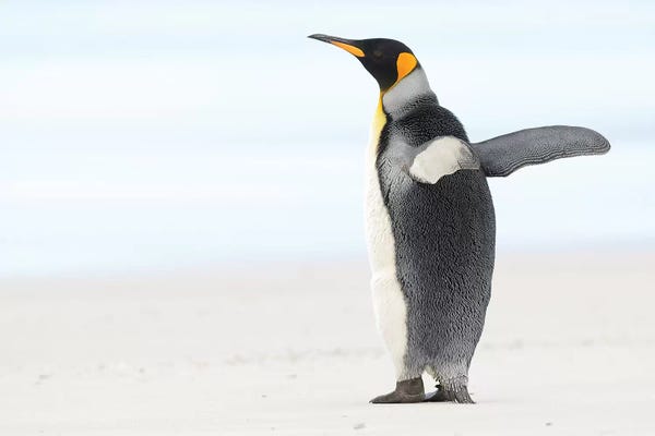 Elmar Weiss: Spread Your Wings by Elmar Weiss