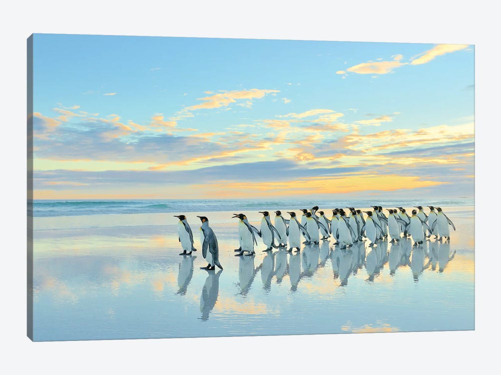 Beach Walk - King Penguins by Elmar Weiss 1-piece Canvas Artwork