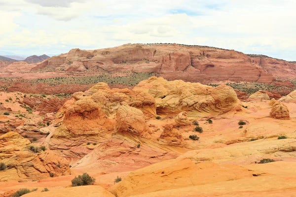 Elmar Weiss: Brain Rocks by Elmar Weiss