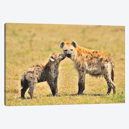 Hyaena Mom And Pup Canvas Print #ELM268} by Elmar Weiss Canvas Wall Art