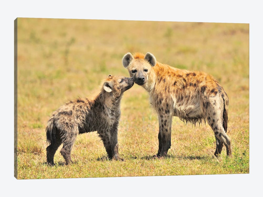 Hyaena Mom And Pup by Elmar Weiss 1-piece Art Print