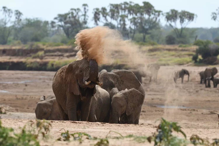 Dust Shower