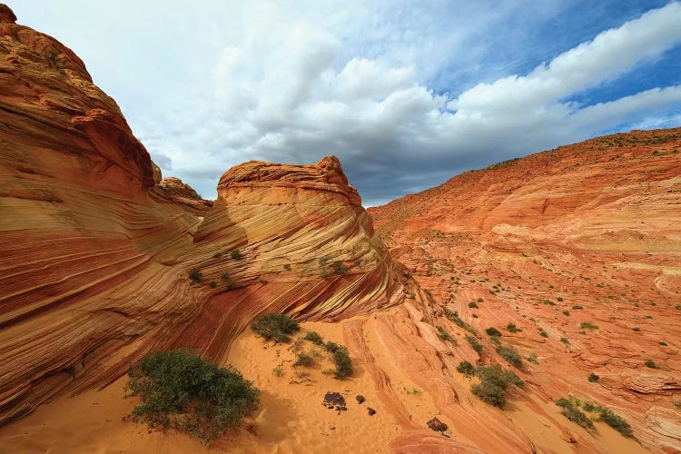 Sandstone by Elmar Weiss wall art