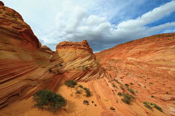 Elmar Weiss: Sandstone by Elmar Weiss