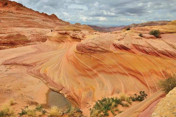 Elmar Weiss: Second Wave by Elmar Weiss