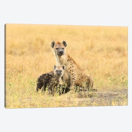Spotted Hyeanas - Mother And Pup Canvas Print #ELM370} by Elmar Weiss Canvas Wall Art