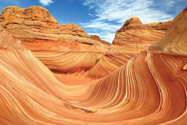 Elmar Weiss: The Wave by Elmar Weiss