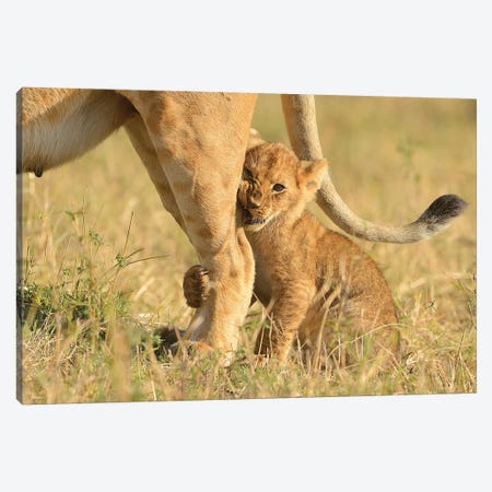 First Hunt - Crowned With Success Canvas Print #ELM42} by Elmar Weiss Canvas Wall Art