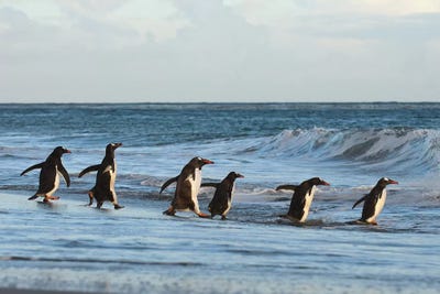 Going Fishing by Elmar Weiss framed canvas print