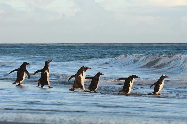 Elmar Weiss: Going Fishing by Elmar Weiss