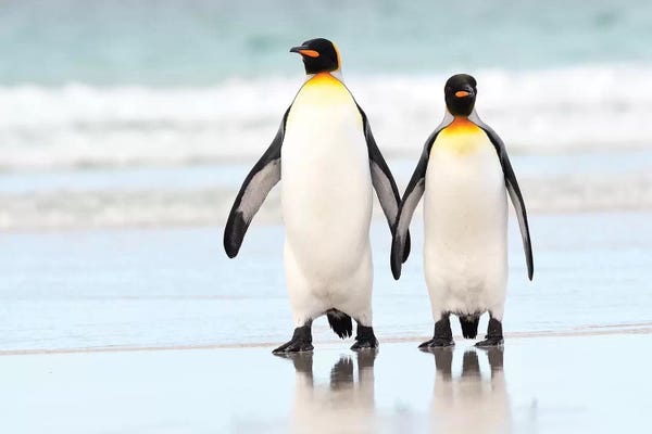 Elmar Weiss: Hand In Hand by Elmar Weiss