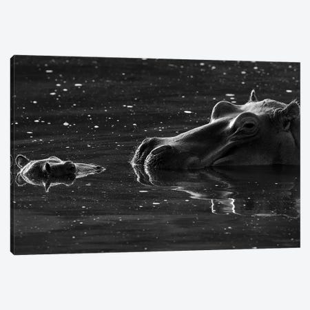 Hippo With Baby Canvas Print #ELM57} by Elmar Weiss Canvas Artwork