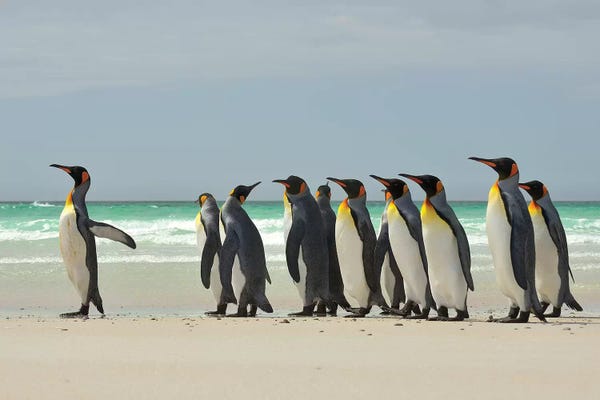 Elmar Weiss: Beach Kings by Elmar Weiss