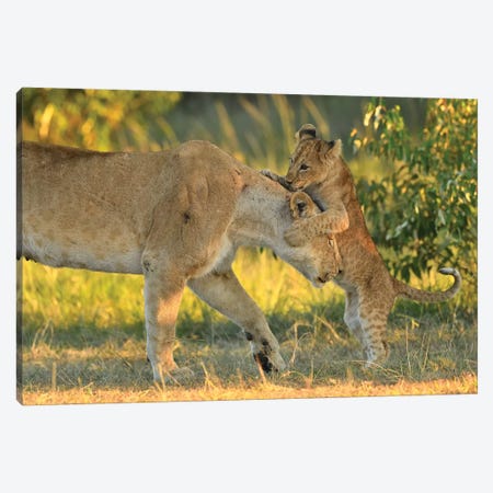 Mom Is The Best! Canvas Print #ELM89} by Elmar Weiss Canvas Art