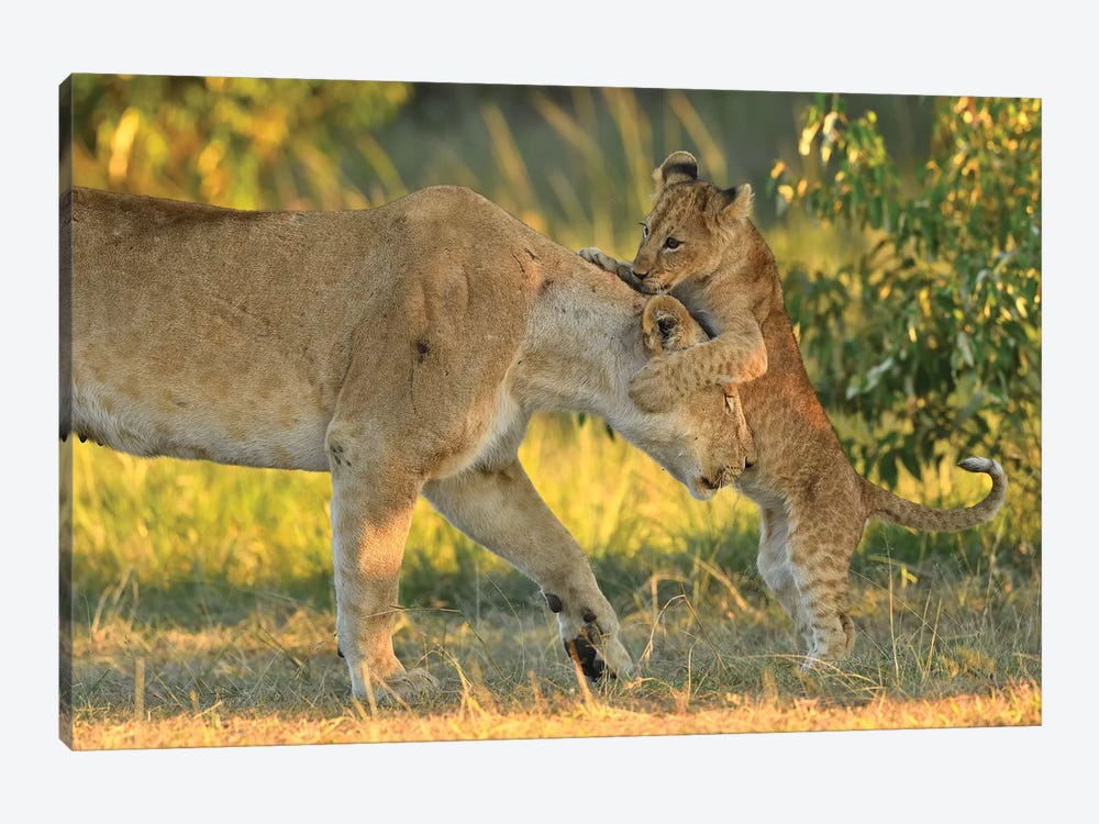 Mom Is The Best! by Elmar Weiss 1-piece Canvas Print