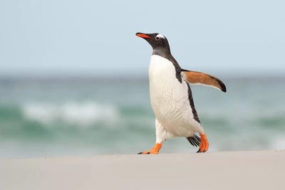 Beach Walk by Elmar Weiss framed canvas print