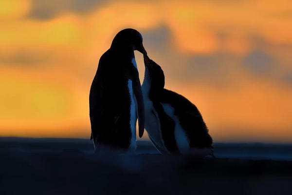 Elmar Weiss: Mother-Child Conservation by Elmar Weiss