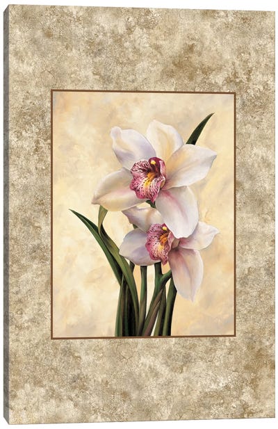 Perfection II Canvas Art Print - Orchid Art