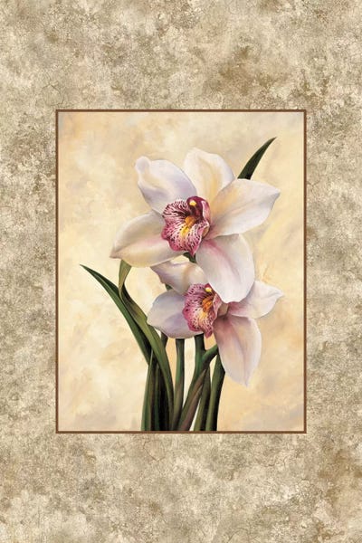 Orchids: Perfection II by E. Lopez