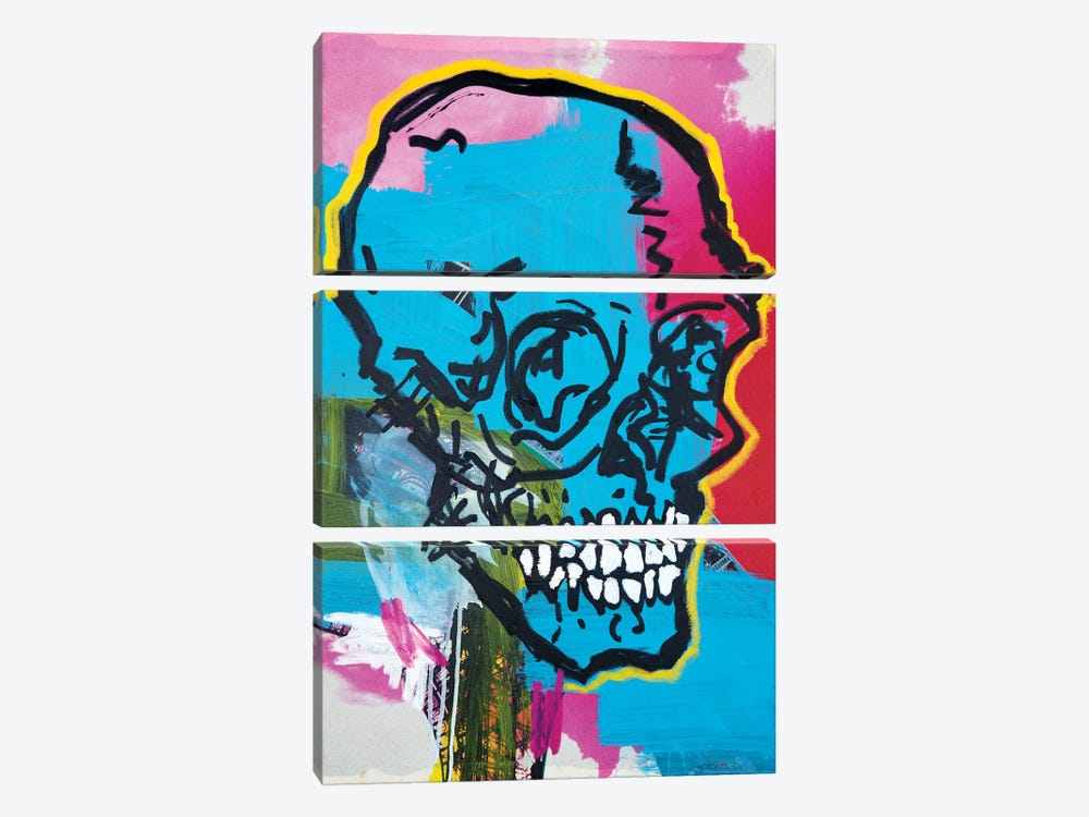 Skull XIX by Eddie Love 3-piece Canvas Print
