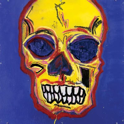 Skull XIII by Eddie Love framed wall art