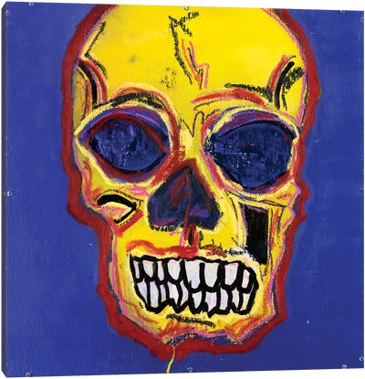 Skull XIII Canvas Art Print - Eddie Love