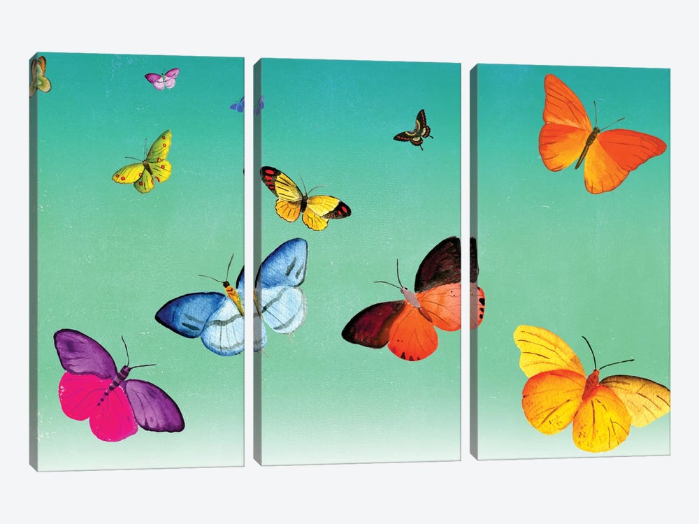 Butterflies by Ellen Weinstein 3-piece Canvas Artwork