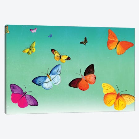Butterflies Canvas Print #ELW10} by Ellen Weinstein Art Print
