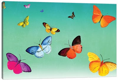Butterflies Canvas Art Print - Ellen Weinstein