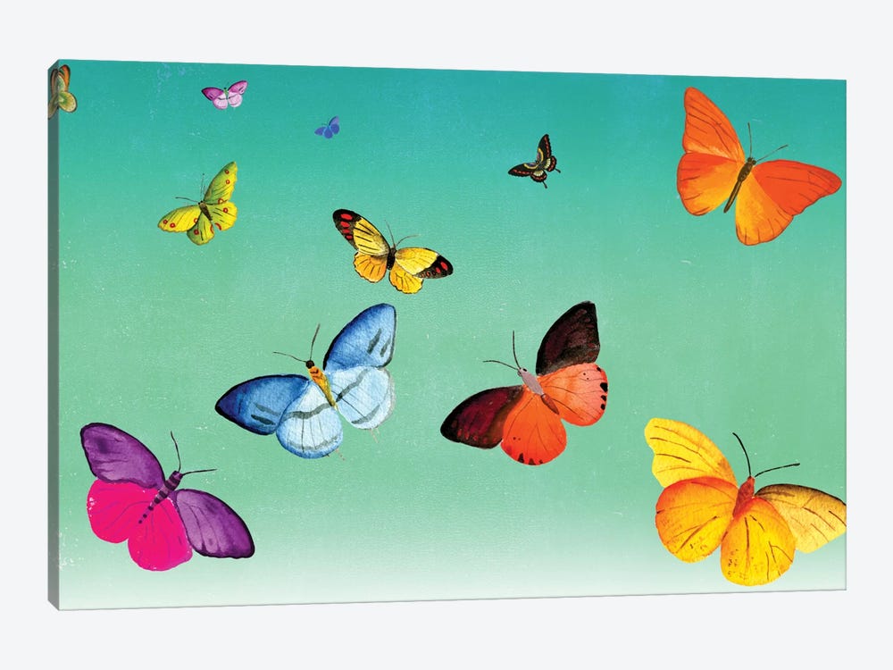 Butterflies by Ellen Weinstein 1-piece Canvas Wall Art