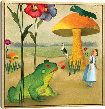 Wonderland Paper Canvas Art Print - Frog Art