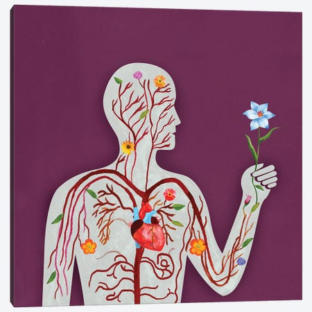 Anatomy Canvas Print #ELW23} by Ellen Weinstein Canvas Artwork