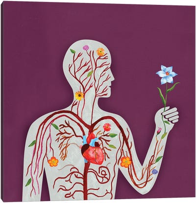 Anatomy Canvas Art Print - Ellen Weinstein
