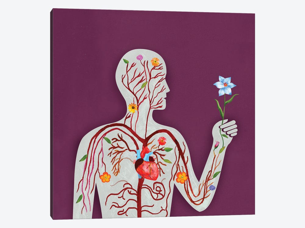 Anatomy by Ellen Weinstein 1-piece Canvas Wall Art
