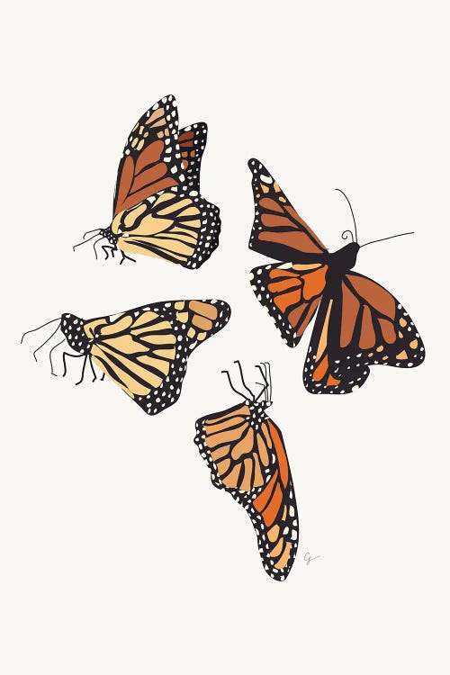 Monarch Butterflies