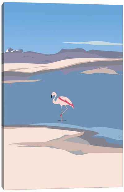 Flamingo In Chile Canvas Art Print - Lyman Creative Co