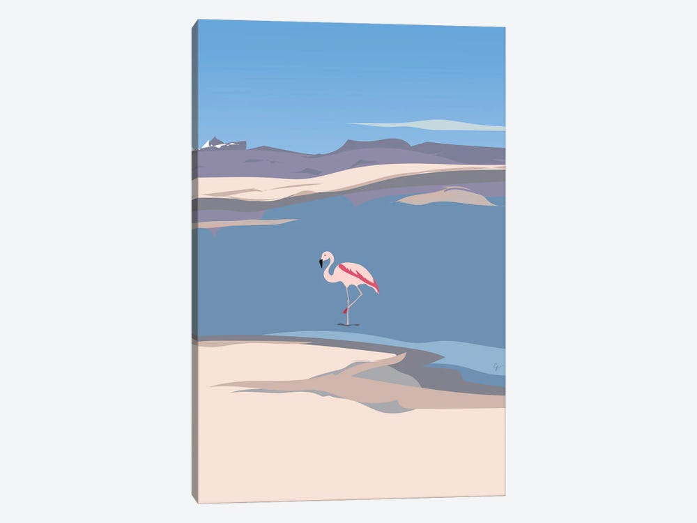 Flamingo In Chile by Lyman Creative Co. 1-piece Canvas Art Print