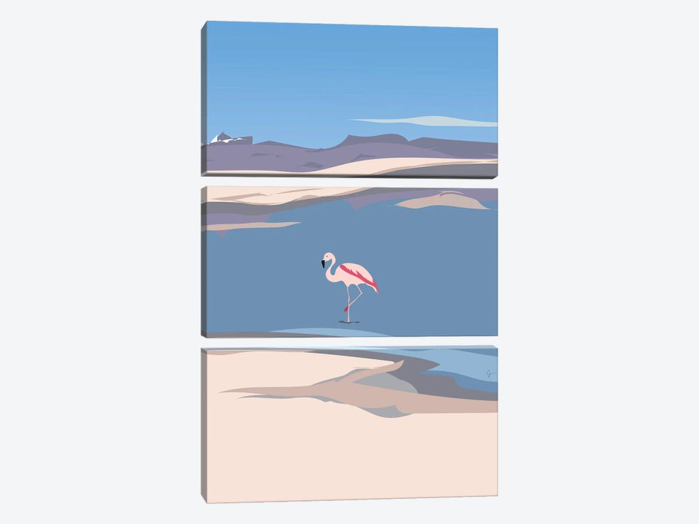Flamingo In Chile by Lyman Creative Co. 3-piece Canvas Print
