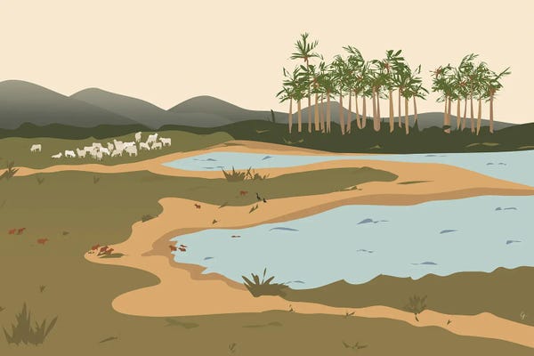 Columbia: The Llanos, Colombia by Lyman Creative Co.