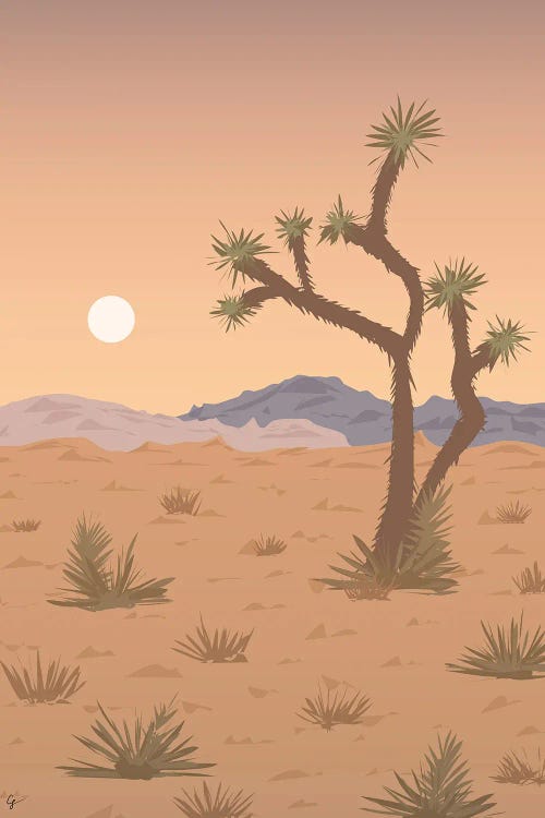 Joshua Tree National Park, California