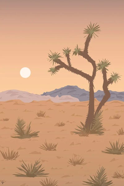 Joshua Tree National Park: Joshua Tree National Park, California by Lyman Creative Co.