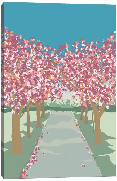 Cherry Blossoms In Battersea Park, London Canvas Art Print
