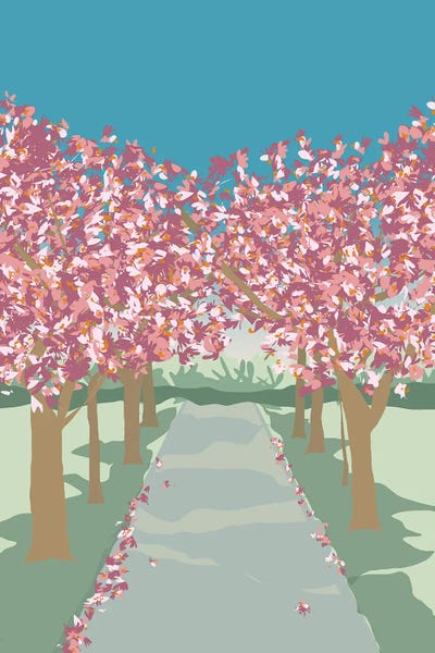 City Parks: Cherry Blossoms In Battersea Park, London by Lyman Creative Co.