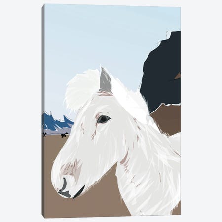 Icelandic Horse, Iceland Canvas Print #ELY47} by Lyman Creative Co. Canvas Print
